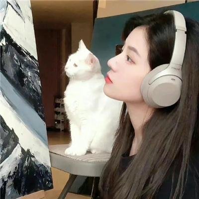 柿子坞的女人们